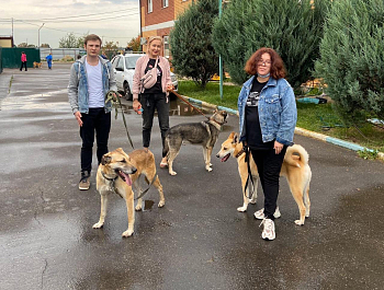 Добрый мир создаешь ты