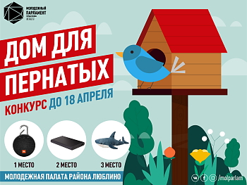 Птичье пространство