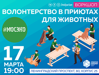 Позаботься о четвероногих