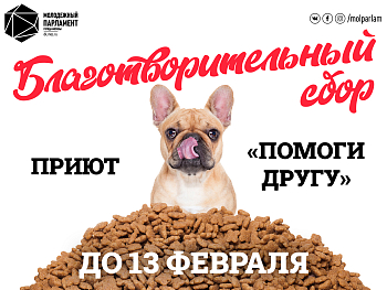 Позаботься о четвероногих