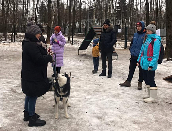 Любовь до кончика хвоста