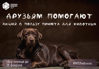 Приютное занятие