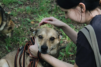 Траектория добрых дел