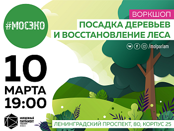 Скажи миру «Лес!»