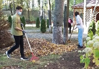 Чистые мотивы