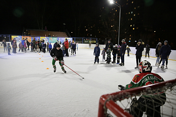 Развлекающий маневр