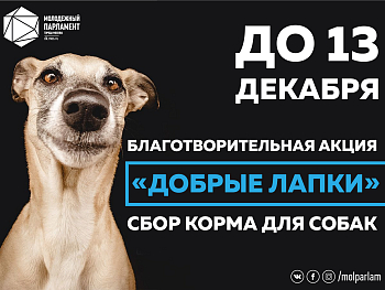 Время дарить подарки: участвуй в благотворительной акции