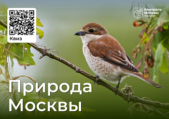 Познакомься с «Природой Москвы»