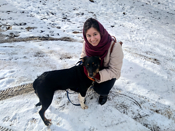 Приютственное дело