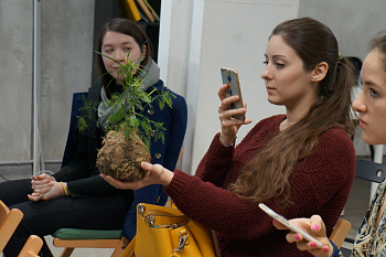 Хранители леса