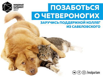 Добрый коучинг