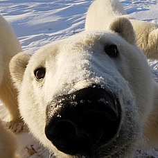 Устимов Артур