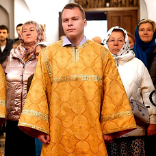 Воронин  Артём 