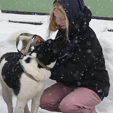 Пашкова  Алиса 