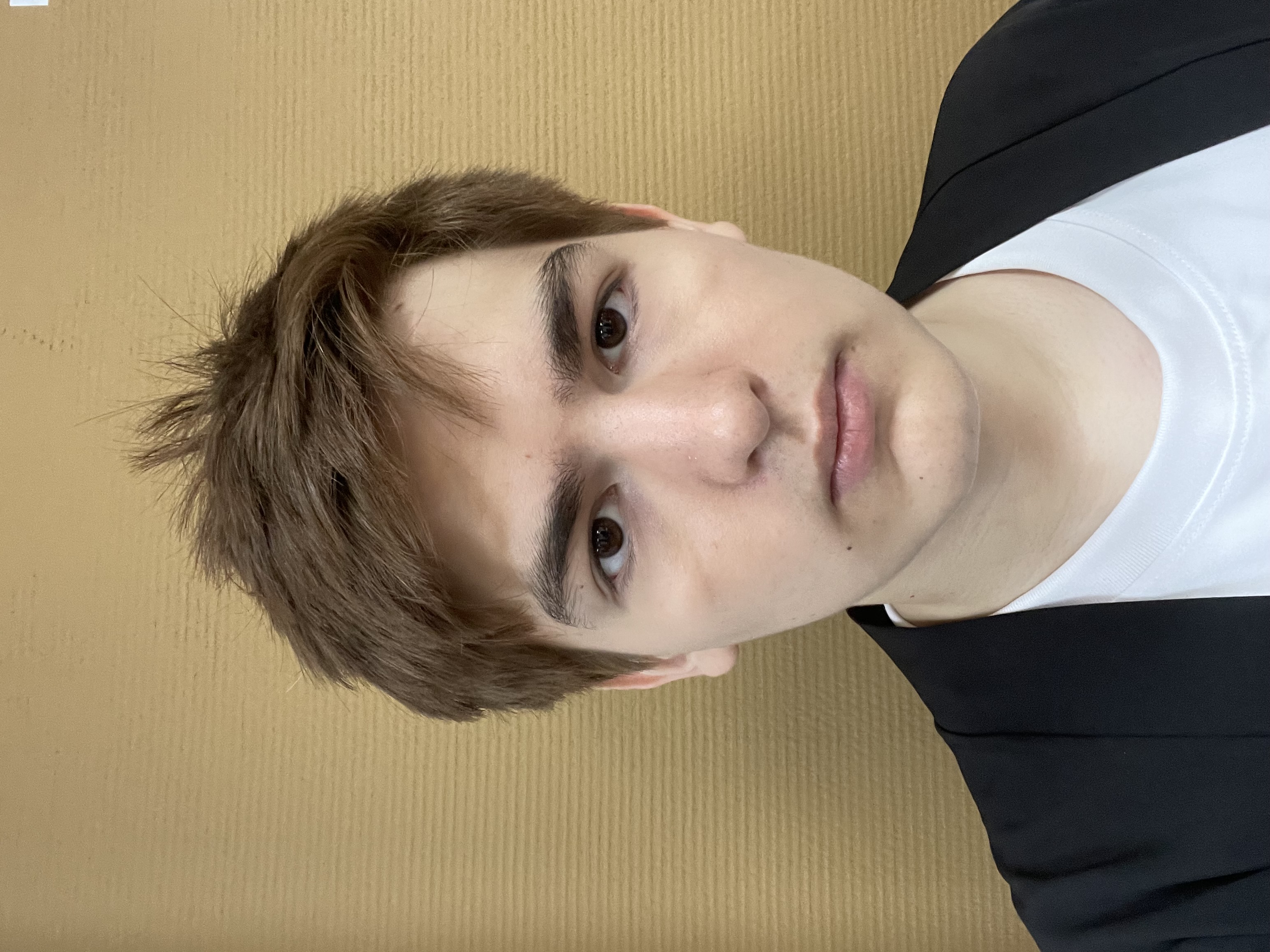 Игнатенко  Артем